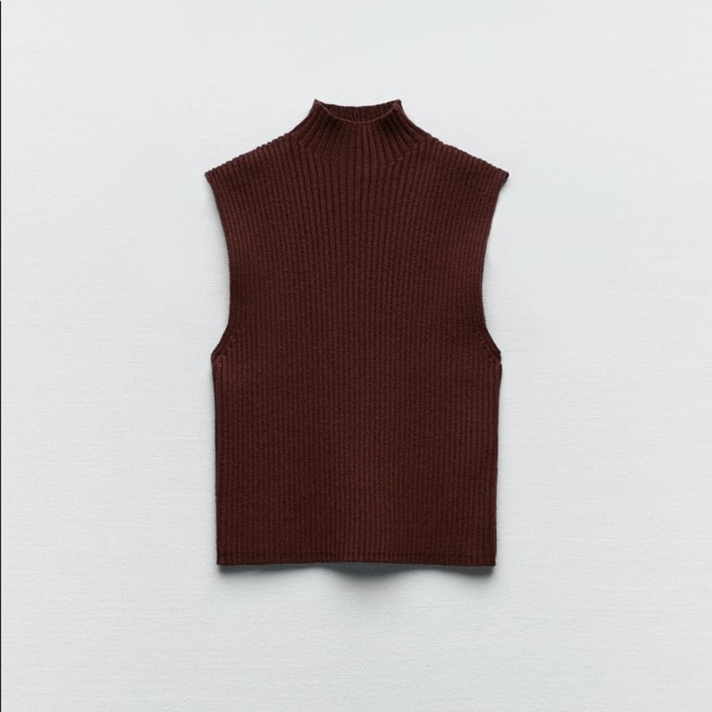 NWT Zara Ribbed Knit Top in Brown